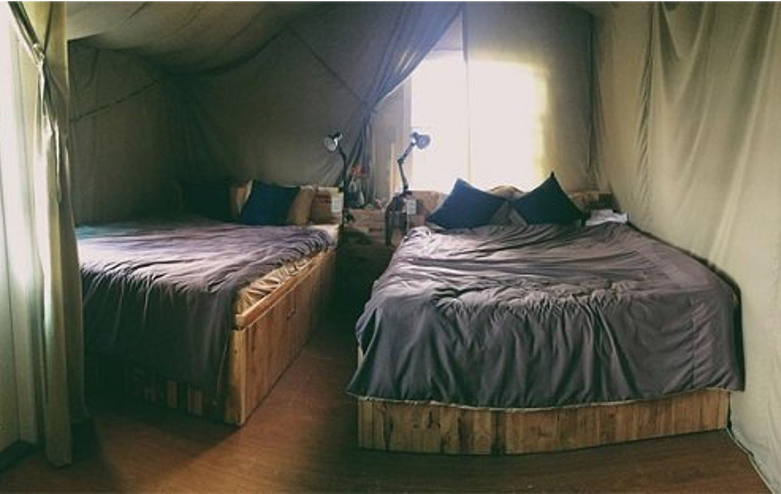 Yolo Camping House có không gian cạnh rừng thông và cũng có chi phí rất mềm